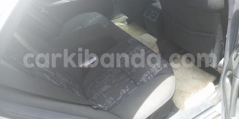 Big with watermark 51849557 2343709578975674 1257161550586707968 n