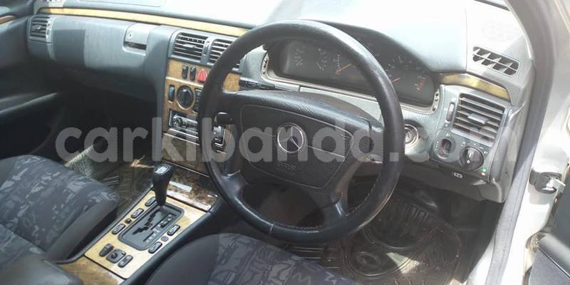 Big with watermark 51777811 2343709438975688 8905341511156105216 n