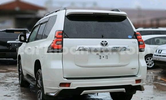 Buy Used Toyota Prado White Car in Kampala in Uganda Buy Used Toyota Prado White Car in Kampala in Uganda