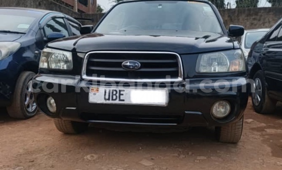 Buy Used Subaru Forester Black Car in Kampala in Uganda