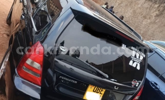 Buy Used Subaru Forester Black Car in Kampala in Uganda Buy Used Subaru Forester Black Car in Kampala in Uganda