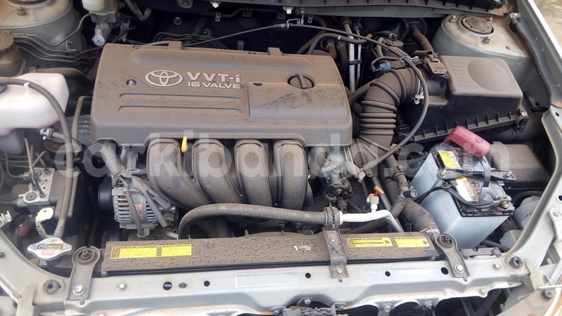 Big with watermark 33133665 1953548521325117 993833991817658368 n