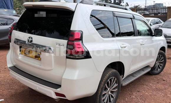 Buy Used Toyota Land Cruiser Prado White Car in Kampala in Uganda