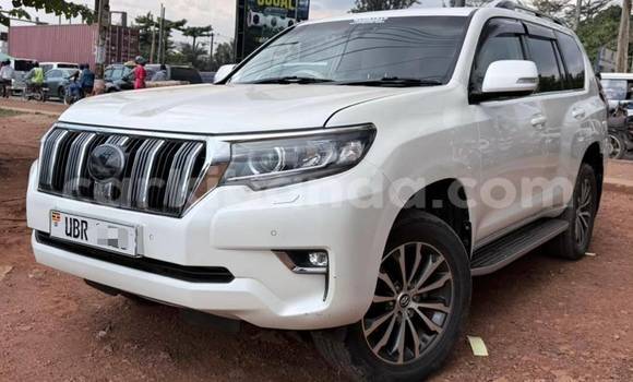 Gura Yakoze Toyota Land Cruiser Prado White Imodoka i Kampala mu Uganda Gura Yakoze Toyota Land Cruiser Prado White Imodoka i Kampala mu Uganda