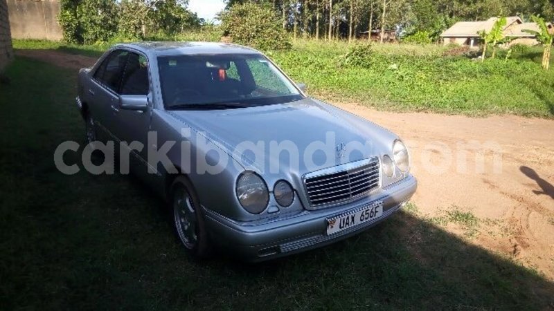 Big with watermark 17634829 1505438946136079 7415460657387828745 n