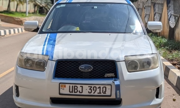 Buy New Subaru Forester White Car in Kampala in Uganda Buy New Subaru Forester White Car in Kampala in Uganda