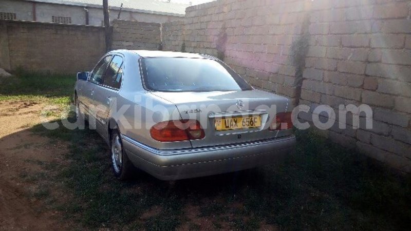 Big with watermark 17760159 1505439782802662 1372779314699243471 n