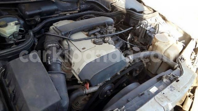 Big with watermark 17757125 1505438712802769 5138315103624334874 n