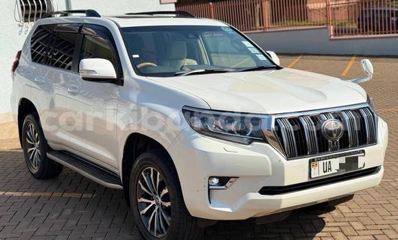 Gura Nshya Toyota Land Cruiser White Imodoka i Kampala mu Uganda Gura Nshya Toyota Land Cruiser White Imodoka i Kampala mu Uganda