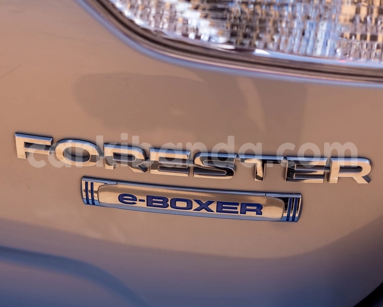 Big with watermark subaru forester uganda kampala 26229