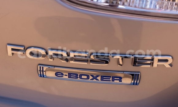 Buy Used Subaru Forester Silver Car in Kampala in Uganda Buy Used Subaru Forester Silver Car in Kampala in Uganda