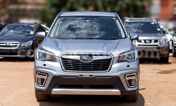 Buy Used Subaru Forester Silver Car in Kampala in Uganda Buy Used Subaru Forester Silver Car in Kampala in Uganda