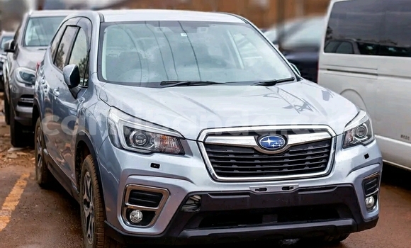 Buy Used Subaru Forester Silver Car in Kampala in Uganda Buy Used Subaru Forester Silver Car in Kampala in Uganda