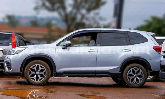 Buy Used Subaru Forester Silver Car in Kampala in Uganda Buy Used Subaru Forester Silver Car in Kampala in Uganda