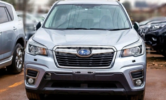 Buy Used Subaru Forester Silver Car in Kampala in Uganda Buy Used Subaru Forester Silver Car in Kampala in Uganda