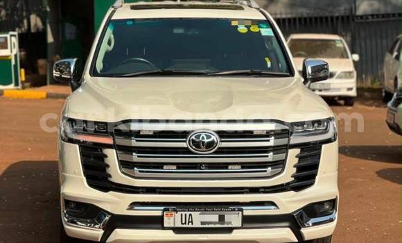 Buy New Toyota Land Cruiser White Car in Kampala in Uganda Buy New Toyota Land Cruiser White Car in Kampala in Uganda