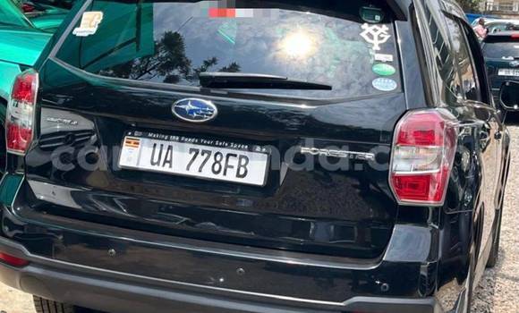 Acheter Neuf Voiture Subaru Forester Autre à Kampala, Ouganda
