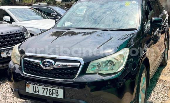 Buy New Subaru Forester Other Car in Kampala in Uganda Buy New Subaru Forester Other Car in Kampala in Uganda