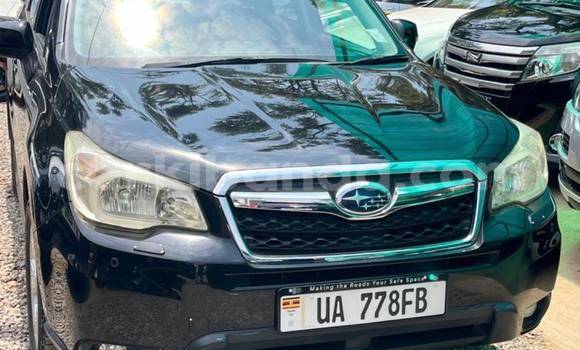 Buy New Subaru Forester Other Car in Kampala in Uganda Buy New Subaru Forester Other Car in Kampala in Uganda