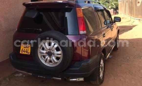 Buy Used Honda CR–V Red Car in Kampala in Uganda Buy Used Honda CR–V Red Car in Kampala in Uganda