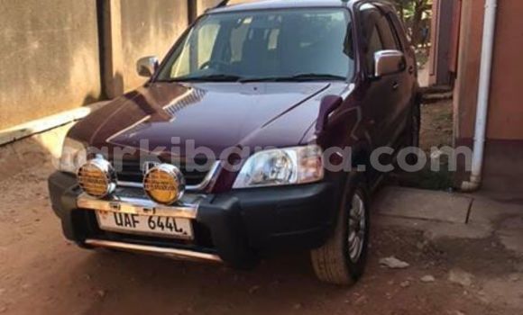 Buy Used Honda CR–V Red Car in Kampala in Uganda Buy Used Honda CR–V Red Car in Kampala in Uganda