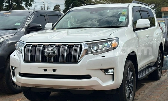 Buy Used Toyota Prado White Car in Kampala in Uganda