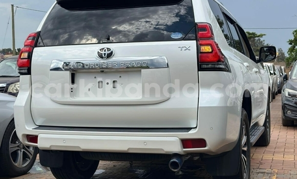 Buy Used Toyota Prado White Car in Kampala in Uganda Buy Used Toyota Prado White Car in Kampala in Uganda
