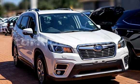 Buy Used Subaru Forester White Car in Kampala in Uganda Buy Used Subaru Forester White Car in Kampala in Uganda