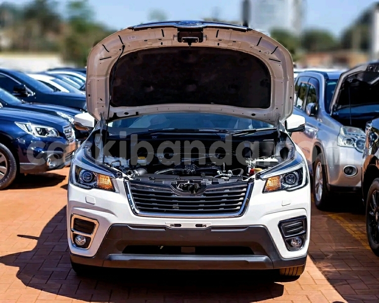 Big with watermark subaru forester uganda kampala 26272