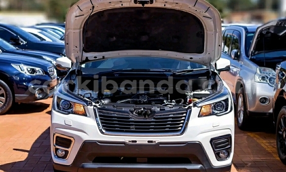 Buy Used Subaru Forester White Car in Kampala in Uganda Buy Used Subaru Forester White Car in Kampala in Uganda