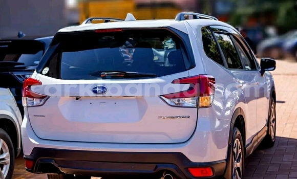 Buy Used Subaru Forester White Car in Kampala in Uganda Buy Used Subaru Forester White Car in Kampala in Uganda