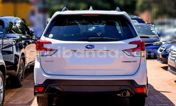 Buy Used Subaru Forester White Car in Kampala in Uganda Buy Used Subaru Forester White Car in Kampala in Uganda