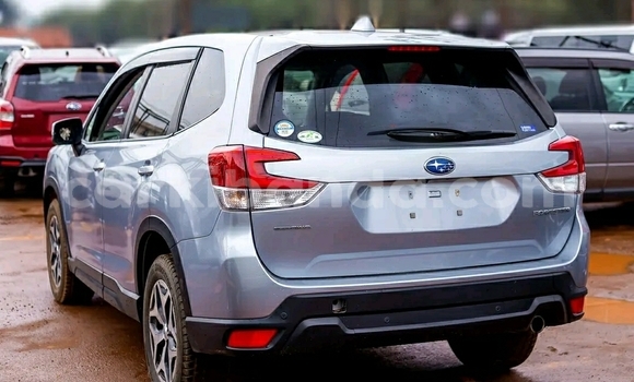 Buy Used Subaru Forester Silver Car in Kampala in Uganda Buy Used Subaru Forester Silver Car in Kampala in Uganda