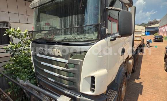 Buy Used Scania R420 White Truck in Kampala in Uganda