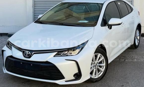 Buy Used Toyota Corolla White Car in Kampala in Uganda