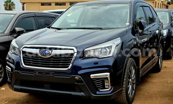 Buy Used Subaru Forester Blue Car in Kampala in Uganda Buy Used Subaru Forester Blue Car in Kampala in Uganda
