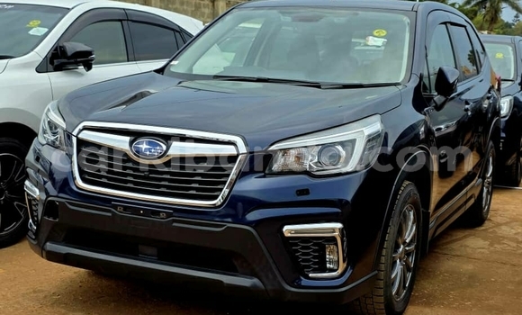 Buy Used Subaru Forester Blue Car in Kampala in Uganda Buy Used Subaru Forester Blue Car in Kampala in Uganda