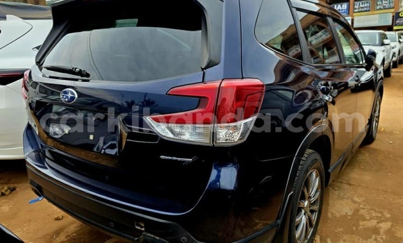 Buy Used Subaru Forester Blue Car in Kampala in Uganda Buy Used Subaru Forester Blue Car in Kampala in Uganda