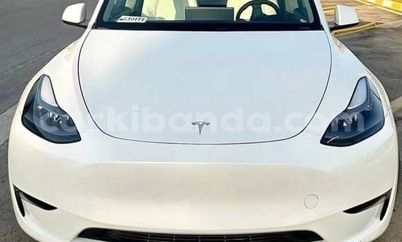 Buy Used Tesla Model X White Car in Kampala in Uganda