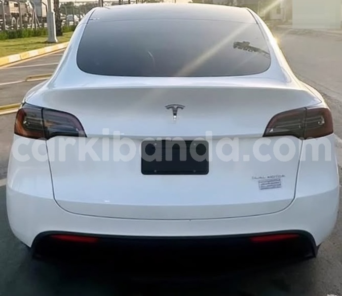 Big with watermark tesla model x uganda kampala 26305