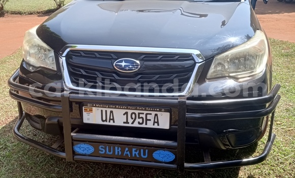 Buy Import Subaru Forester Black Car in Mbarara in Uganda