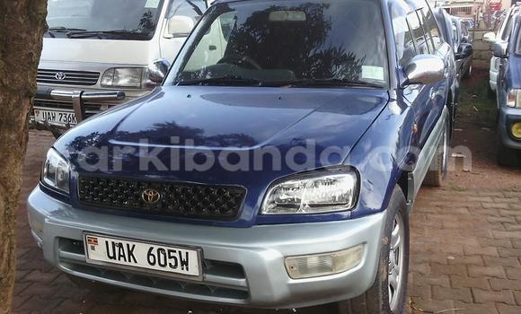 Gura Yakoze Toyota RAV4 Blue Imodoka i Arua mu Uganda Gura Yakoze Toyota RAV4 Blue Imodoka i Arua mu Uganda
