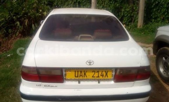 Buy Used Toyota Corolla White Car in Kampala in Uganda Buy Used Toyota Corolla White Car in Kampala in Uganda