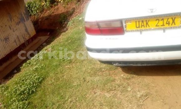 Buy Used Toyota Corolla White Car in Kampala in Uganda Buy Used Toyota Corolla White Car in Kampala in Uganda