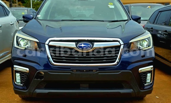 Nunua Ilio tumika Subaru Forester Bluu Gari ndani ya Kampala nchini Uganda Nunua Ilio tumika Subaru Forester Bluu Gari ndani ya Kampala nchini Uganda