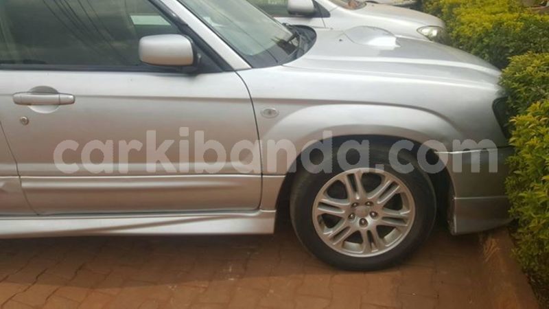 Big with watermark 52643739 2310287029192729 5152819397705859072 o