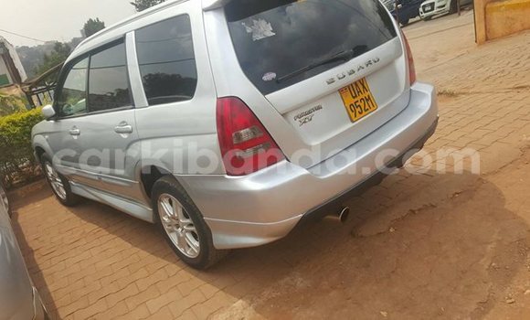 Buy Used Subaru Forester Silver Car in Wakiso in Uganda Buy Used Subaru Forester Silver Car in Wakiso in Uganda