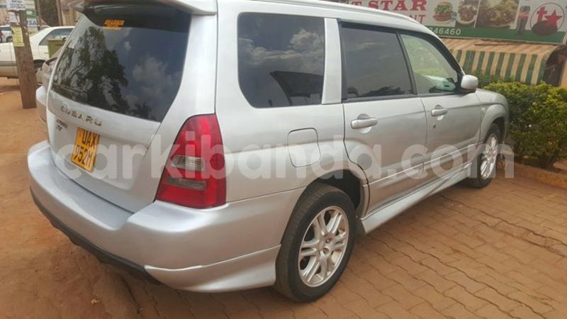 Big with watermark 52120169 2310286972526068 3111581811700924416 o