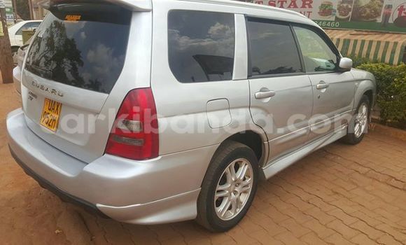 Buy Used Subaru Forester Silver Car in Wakiso in Uganda Buy Used Subaru Forester Silver Car in Wakiso in Uganda