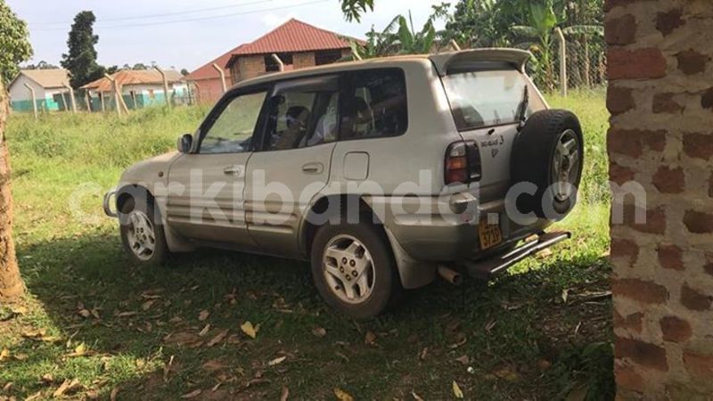 Big with watermark 51906494 587896318395147 700937180943482880 n